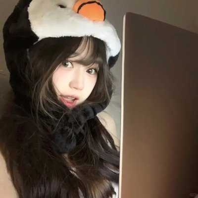 我的新拍档