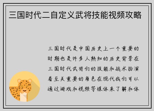 三国时代二自定义武将技能视频攻略